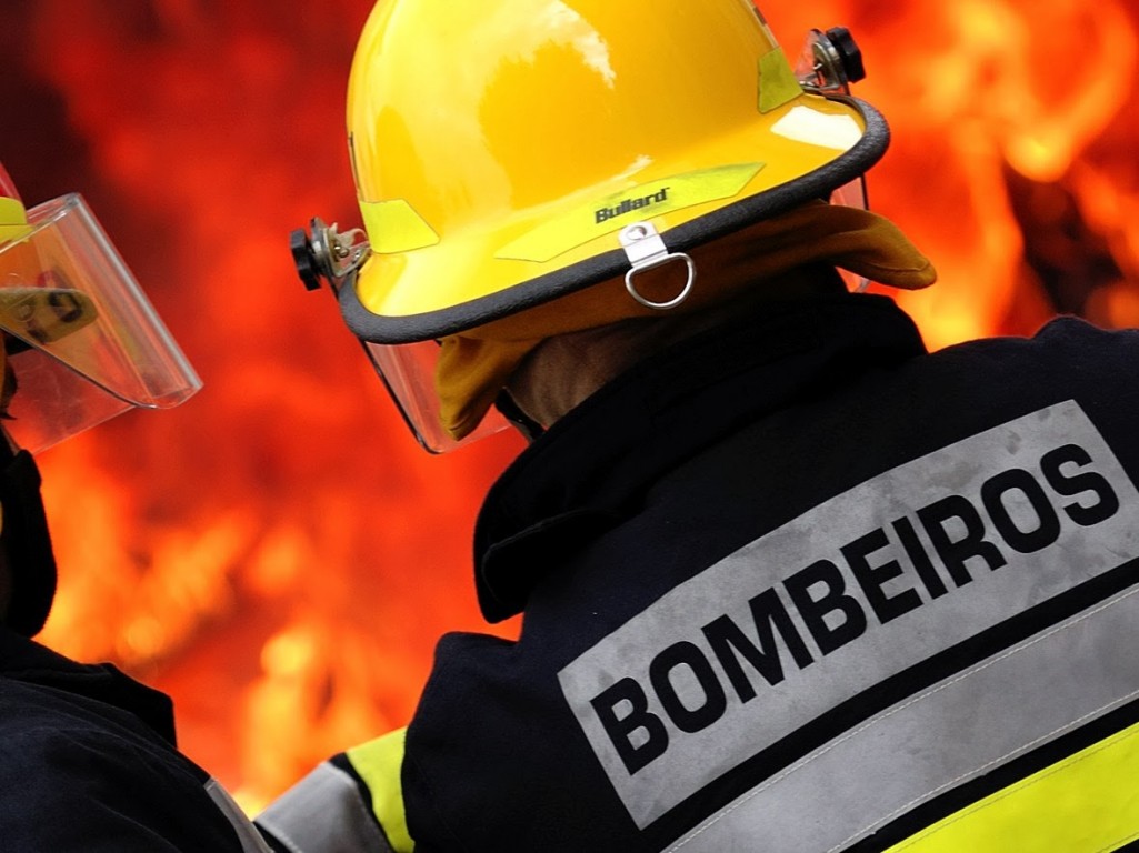 Bombeiros combatem fogo no Parque das Palmeiras