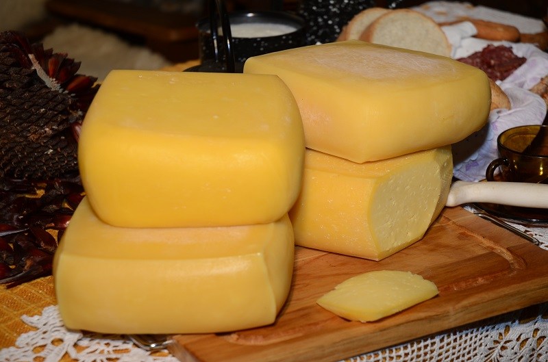 Governador sanciona lei que regulamenta produção e comercialização de queijos artesanais em SC