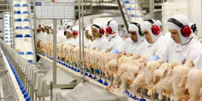 Autoridades chinesas afirmam que frango exportado por SC estava contaminado com coronavírus