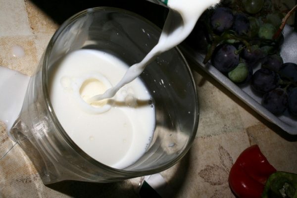 Agricultura estuda medidas para minimizar impactos do fim do antidumping na produção de leite em pó