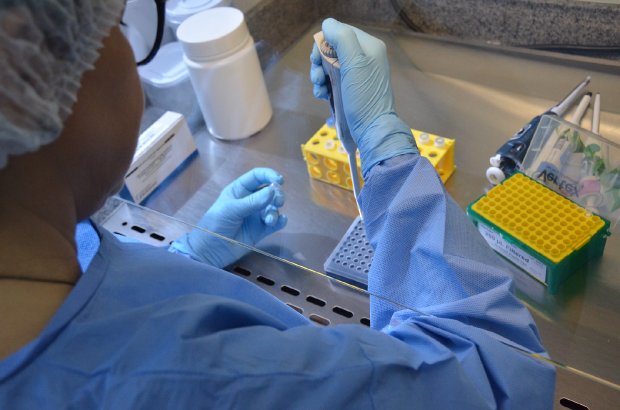 Pesquisadores catarinenses farão live para explicar vacina contra covid-19 em desenvolvimento no estado